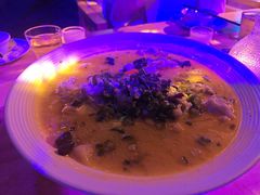 -离岸江景音乐酒馆