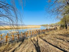 -野鸭湖国家湿地公园