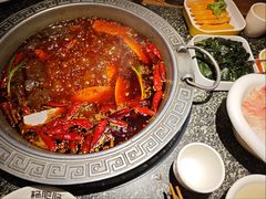 -杨肥肠小火锅(花园店)