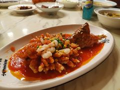 -张鸟园农家乐(张鸟园店)