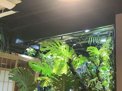 -森味薪火烧•烧鸟居酒屋•日本料理(望京店)
