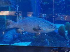 -成都浩海立方海洋公园