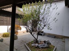 -绮园景区