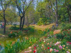 -人民公园(罗湖区)