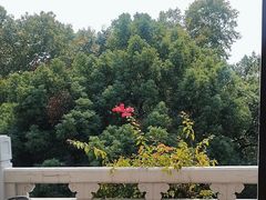 -杭州香格里拉·香宫中餐厅