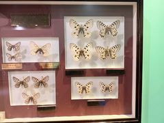 -上海昆虫博物馆
