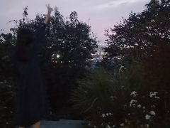 -天花井景区