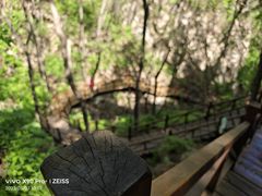 -大岭沟猕猴桃谷风景区