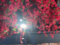 -麻辣总动员·川派海鲜·现炒浇头面·自贡菜(五彩城店)