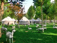 -九十九顶毡房(阜石路店)