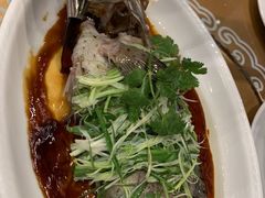 -甄御•海鲜新青岛菜(麦岛店)