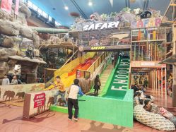 -卡通尼·Safari非洲探索乐园·生日会(金桥国际商业广场店)