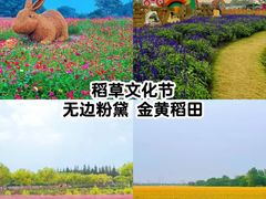 -嘉北郊野公园
