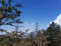 -峨眉山风景名胜区