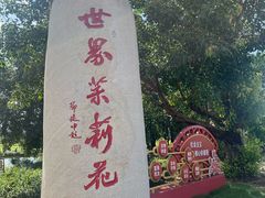 -中华茉莉园