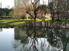 -陆家嘴中心绿地