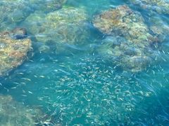 -三亚西岛海洋文化旅游区