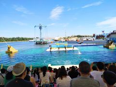 -秦皇岛乐岛海洋王国