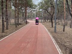 -长春市南湖公园