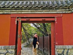 -阳台山自然风景区