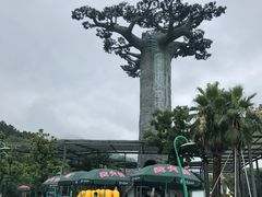 -苏州乐园森林水世界