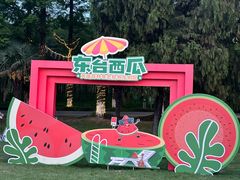 -黄海国家森林公园