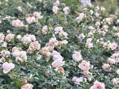 -人民公园(罗湖区)