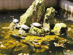 -宁波市保国寺古建筑博物馆