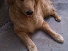 android_upload_pic-韩林轩自助火锅烤肉超市(中天步行街店)