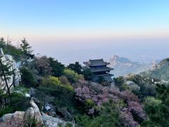 -泰山风景名胜区