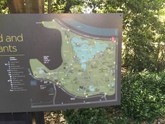 -墨尔本皇家植物园