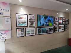 -上海博宽羽毛球馆(双桥路分部)