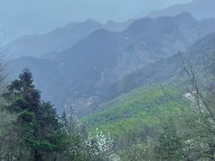 -九华山风景区