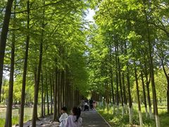 -柳鹭田园区