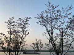 -幕燕滨江·燕子矶公园