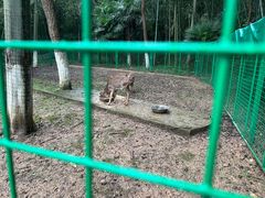 -南山风景名胜区