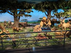 -国家自然博物馆