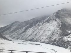 -九五火锅(草场街店)