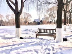 -长春世界雕塑园冰雪艺术天地