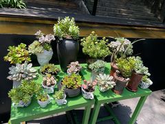 -箱美术馆私房菜(水晶郦城店)