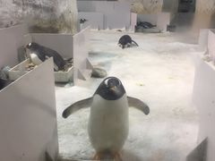 -大连圣亚海洋世界