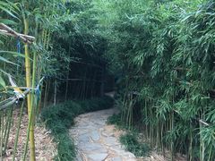 -竹子庵公园