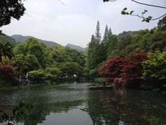-龙井村