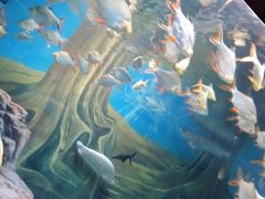 -上海海洋水族馆