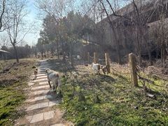 -南京市江宁方山