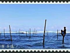 -Ministry of Crab(科伦坡店)