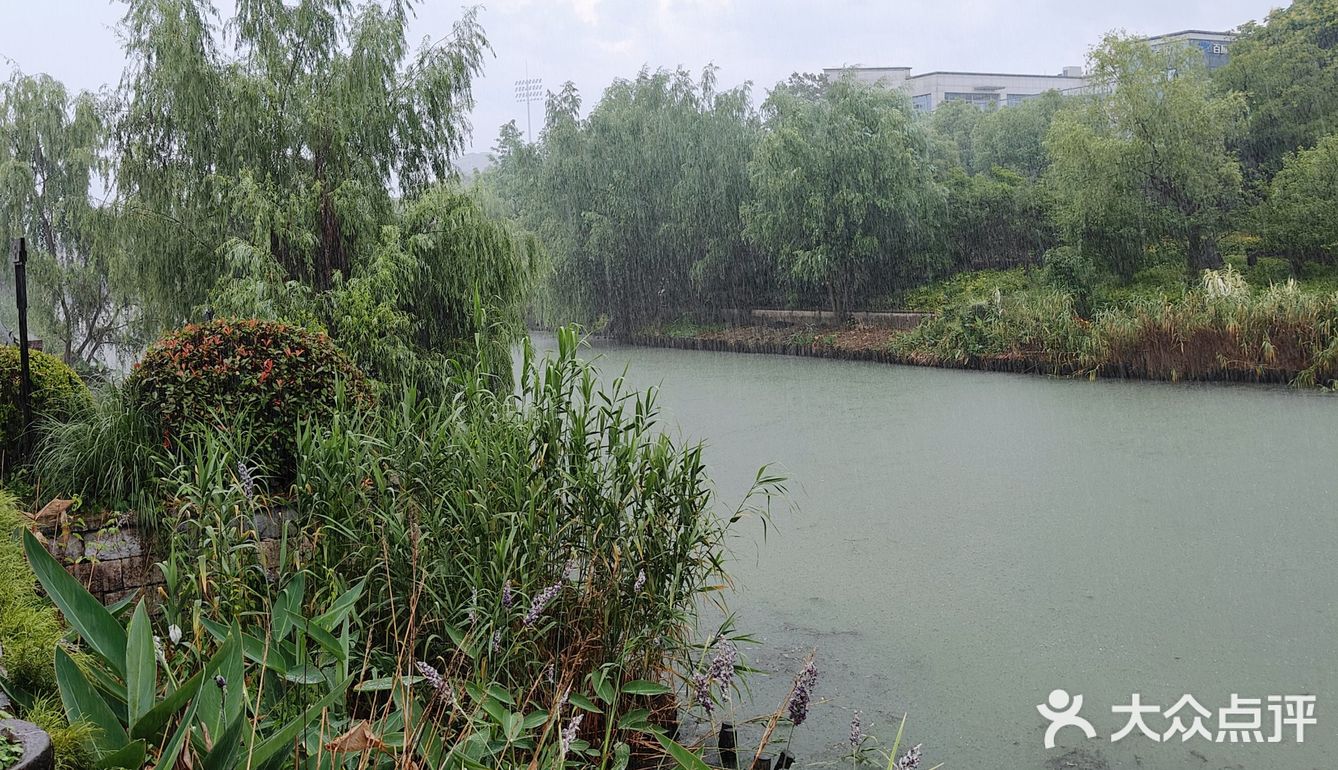 杭州大暴雨！！！连河道都要满出来了！