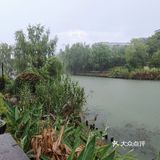 杭州大暴雨！！！连河道都要满出来了！