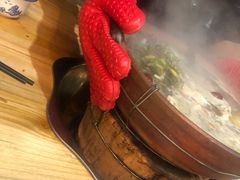 -洪大厨鸡煲(福田店)