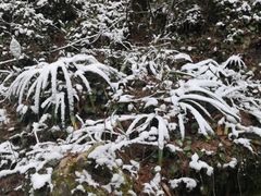 -山王坪喀斯特国家生态公园